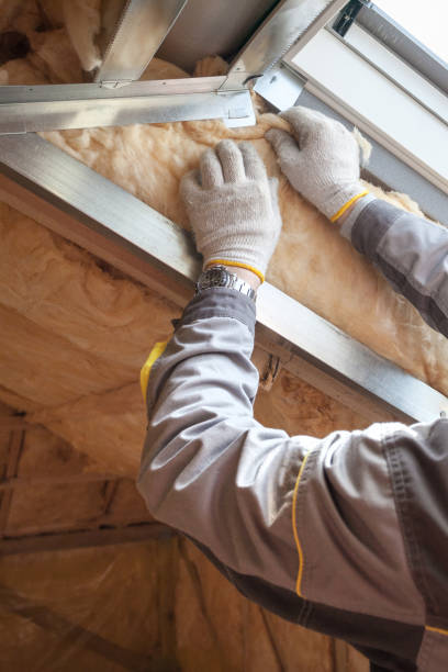 Best Insulation Maintenance and Repair in Robersonville, NC