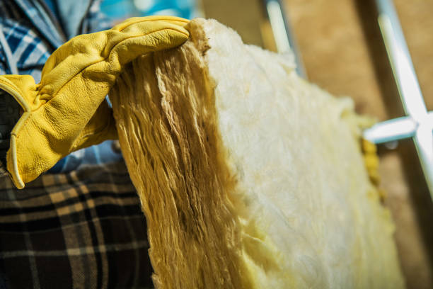 Types of Insulation We Offer in Robersonville, NC