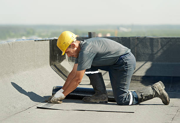 Best Eco-Friendly Insulation in Robersonville, NC
